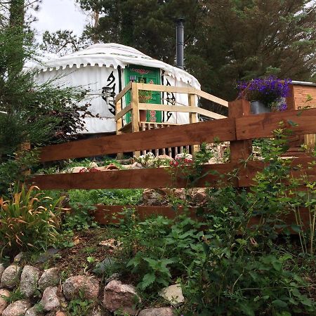 The Tall Pines Yurt 헴스데일 외부 사진