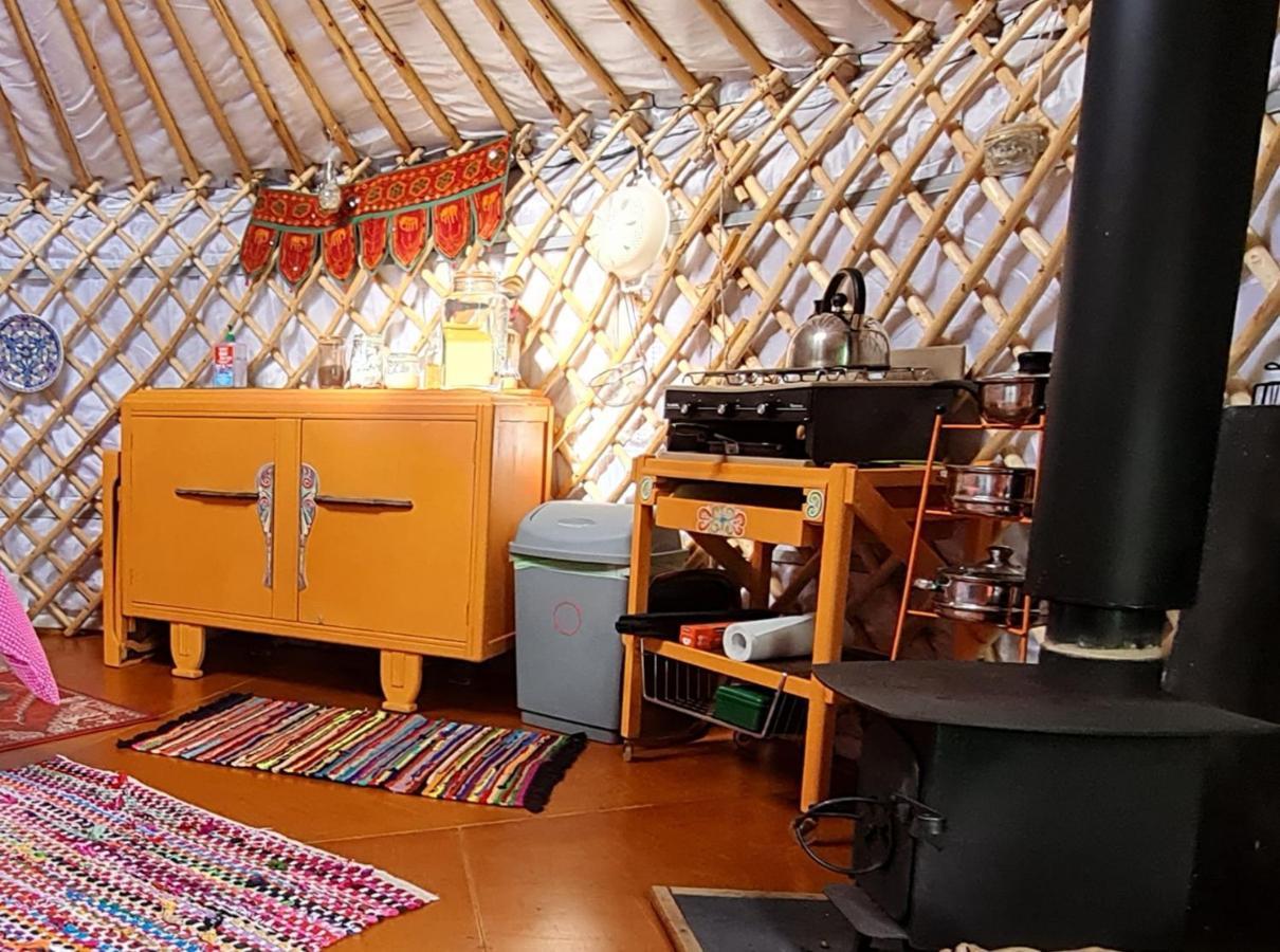 The Tall Pines Yurt 헴스데일 외부 사진