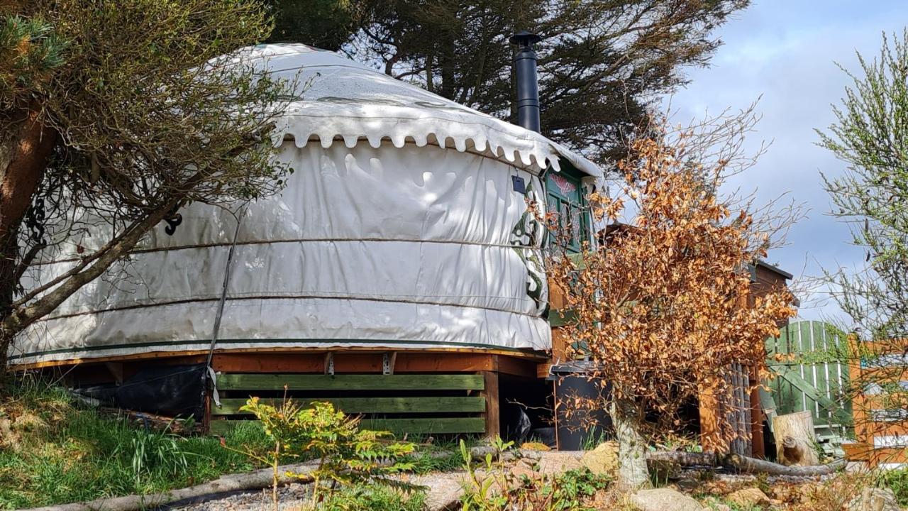 The Tall Pines Yurt 헴스데일 외부 사진