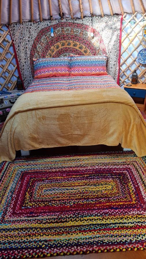 The Tall Pines Yurt 헴스데일 외부 사진