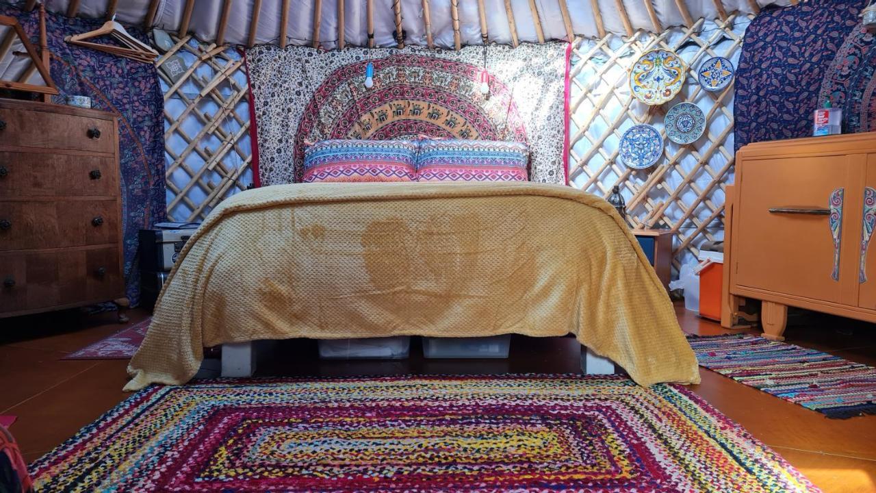 The Tall Pines Yurt 헴스데일 외부 사진
