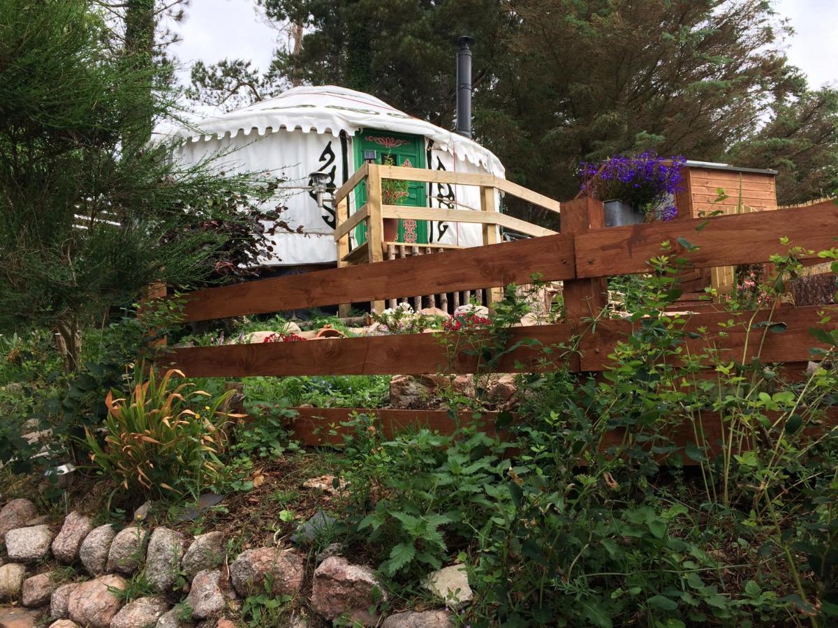 The Tall Pines Yurt 헴스데일 외부 사진